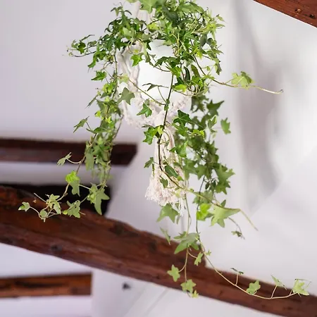 Belvedere Cozy * Bologne