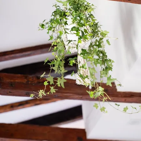 Belvedere Cozy Μπολόνια