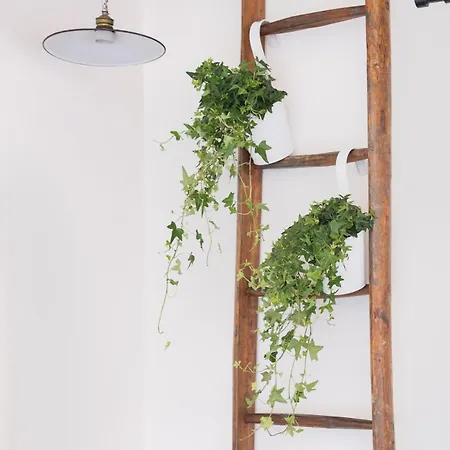 Belvedere Cozy Διαμέρισμα *