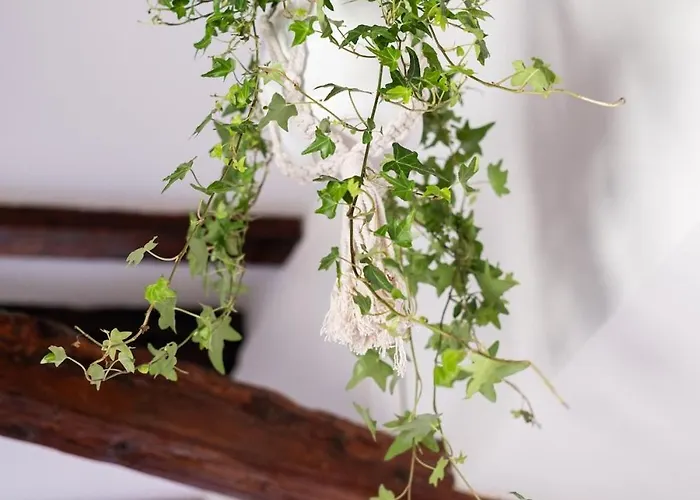 Belvedere Cozy * بولونيا