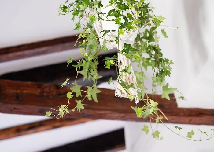 Belvedere Cozy Bolonia