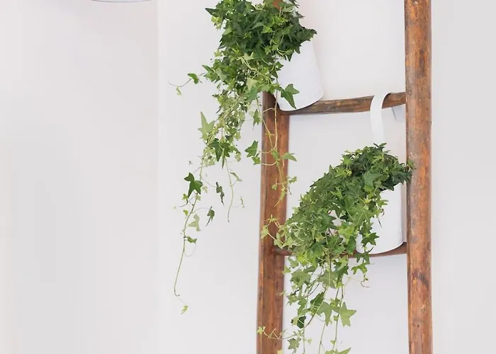 Belvedere Cozy Apartment *